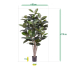 Elastica Robusta kunstplant 170cm groen