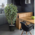 Ficus Exotica deluxe kunstboom 150cm - bont