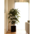 Bamboe kunstplant 150cm brandvertragend