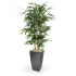 Bamboe kunstplant 150cm brandvertragend