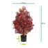Ming Aralia kunstplant UV 90cm Burgundy