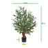 Olijf Bonsai kunstplant Deluxe 90cm UV