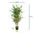 Japanse Bamboe kunstplant 120cm - UV bestendig
