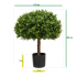 Buxus half bol kunstplant 60cm - UV bestendig