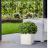 Buxus half bol kunstplant 60cm - UV bestendig