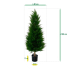 Conifeer deluxe kunstplant 100cm - UV bestendig