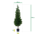 Conifeer deluxe kunstplant 120cm - UV bestendig