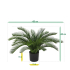 Cycas deluxe kunstpalm 60cm - UV bestendig