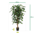 Ficus Benjamini kunstboom 150cm