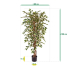 Ficus Hawai kunstboom 150cm