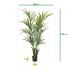 Kentia deluxe kunstpalm 165cm