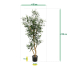 Kunst Olijfboom promo 120cm