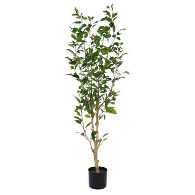 Ficus Exotica Kunstplant NT 150cm