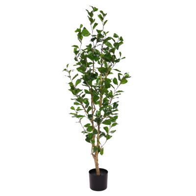 Ficus Triangularis Kunstplant 150cm