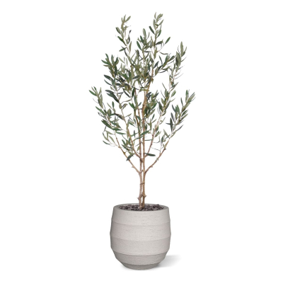 Olijf Kunstboom N 120cm