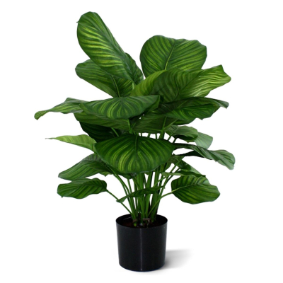 Calathea Fasciata kunstplant 80cm