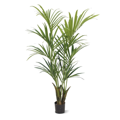 Kentia deluxe kunstpalm 165cm