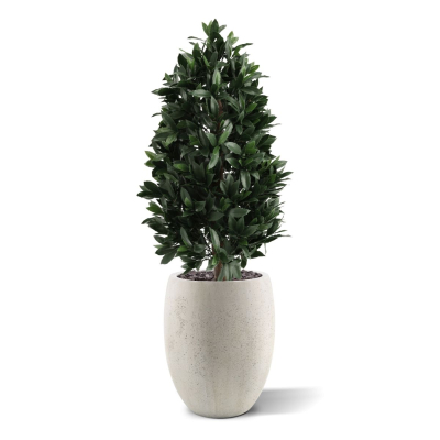 Laurier Kunstplant Pyramide 105cm UV Deluxe