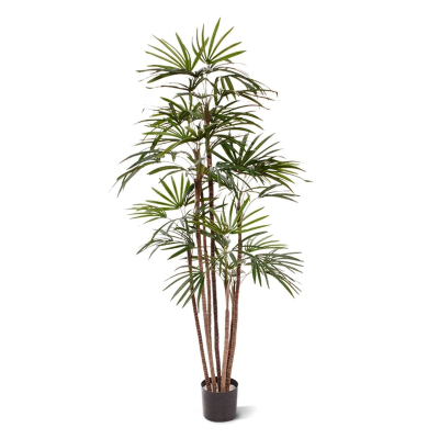 Raphis kunstpalm Promo 170cm