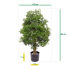 Ming Aralia kunstplant 90cm - UV bestendig