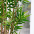 Oriental Bamboe kunstboom 165cm