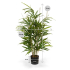Royal Bamboe kunstplant 70cm