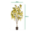 Wisteria Kunstboom 180cm geel